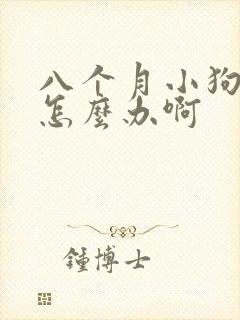 八个月小狗拉稀怎么办啊