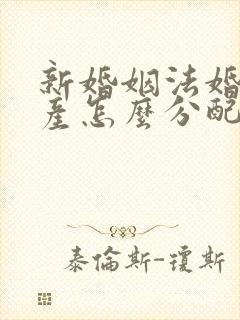 新婚姻法婚前财产怎么分配封面