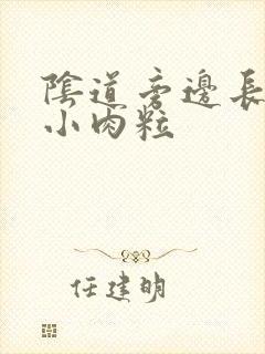 阴道旁边长了个小肉粒封面