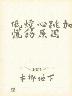 低烧心跳加速心慌的原因