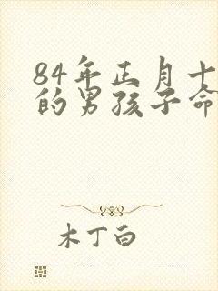84年正月十五的男孩子命运封面
