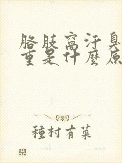 胳肢窝汗臭味很重是什么原因