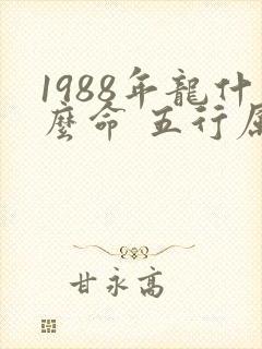 1988年龙什么命 五行属什么
