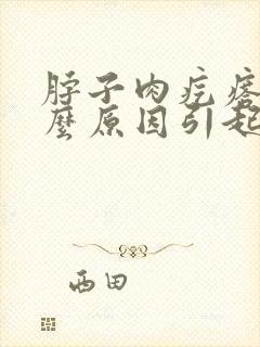 脖子肉疙瘩是什么原因引起的封面