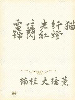 电信光纤猫光信号闪红灯