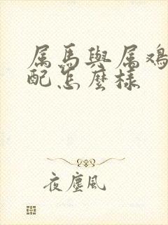 属马与属鸡的婚配怎么样