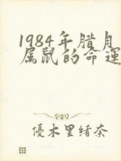 1984年腊月属鼠的命运