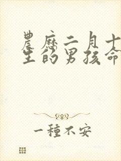 农历二月十五出生的男孩命运好吗封面