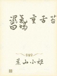 湿气重舌苔会发白吗