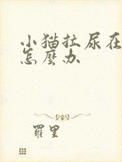 小猫拉尿在床上怎么办