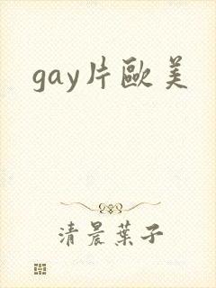 gay片欧美封面