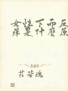 女性下面反复瘙痒是什么原因引起的封面