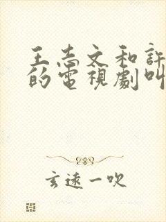 王志文和许晴演的电视剧叫什么名