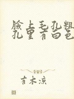 脸上毛孔粗大毛孔里有白色的东西怎么解决