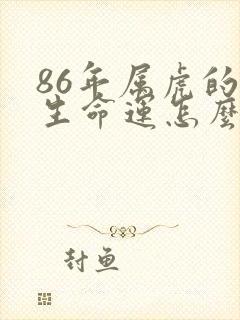 86年属虎的一生命运怎么样