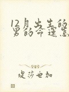 12月出生的龙男的命运怎么样