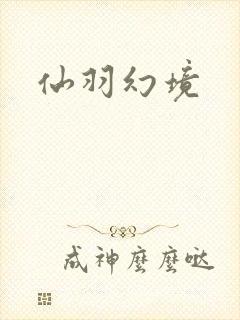 仙羽幻境封面