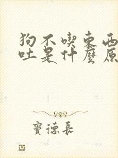 狗不吃东西总是吐是什么原因