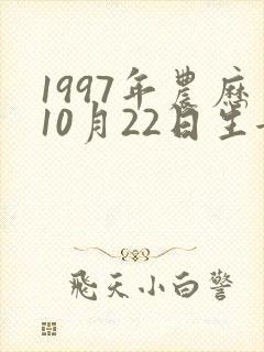 1997年农历10月22日生女命运