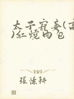 太子宠妾(高肉)红烧肉包封面