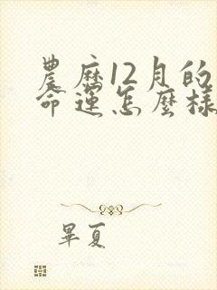 农历12月的虎命运怎么样封面