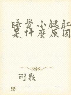 睡觉小腿肚酸胀是什么原因引起的封面