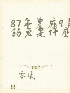 87年农历9月的兔是什么命封面