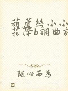 葫芦丝小小新娘花降b调曲谱封面