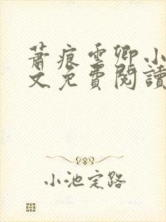 萧痕云卿小说全文免费阅读最新章节封面