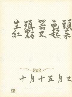 生殖器龟头发炎红点又起来了封面