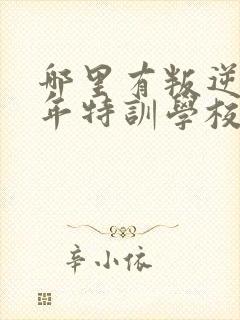 哪里有叛逆青少年特训学校