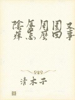 阴唇周围又痛又痒怎么回事