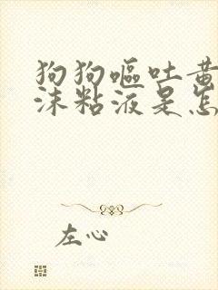 狗狗呕吐黄水泡沫粘液是怎么回事