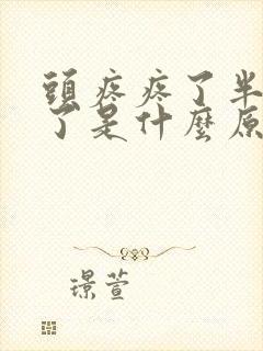 头疼疼了半个月了是什么原因封面