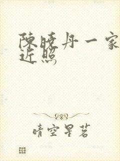 陈晓丹一家四口近照