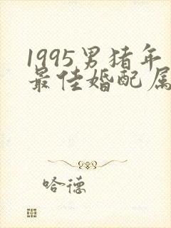1995男猪年最佳婚配属相