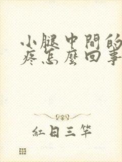 小腿中间的骨头疼怎么回事