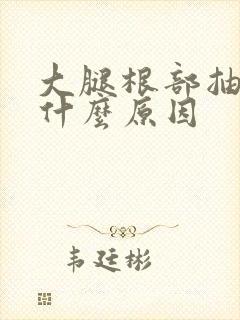 大腿根部抽筋是什么原因