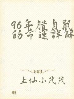 96年腊月鼠女的命运详解