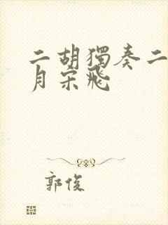 二胡独奏二泉映月宋飞封面