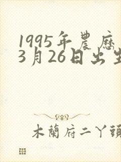 1995年农历3月26日出生的人命运
