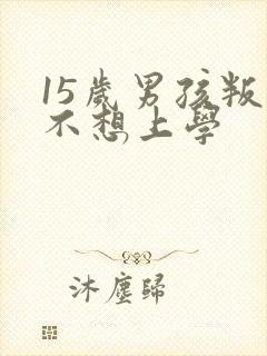 15岁男孩叛逆不想上学