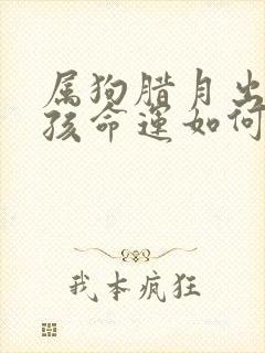 属狗腊月出生男孩命运如何