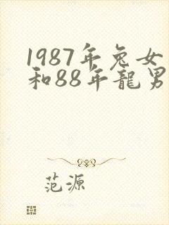 1987年兔女和88年龙男婚姻怎么样