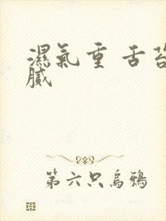 湿气重 舌苔白腻