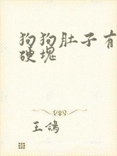 狗狗肚子有个大硬块