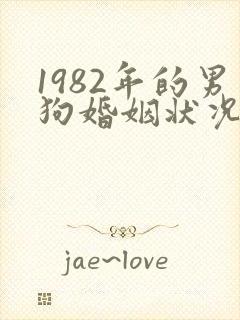 1982年的男狗婚姻状况及命运