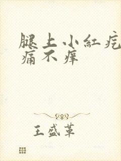 腿上小红疙瘩不痛不痒封面