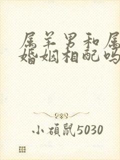 属羊男和属马女婚姻相配吗