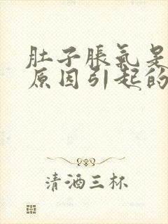 肚子胀气是什么原因引起的怎么治疗封面